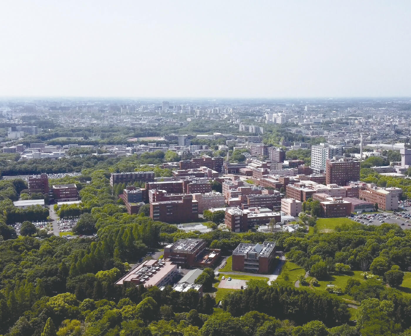 About IMAGINE THE FUTURE.